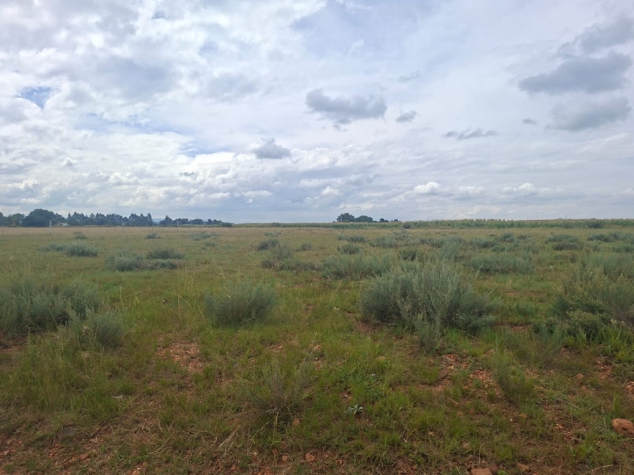 0 Bedroom Property for Sale in Henley on Klip Gauteng