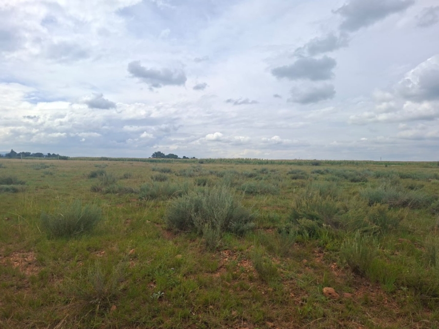 0 Bedroom Property for Sale in Henley on Klip Gauteng