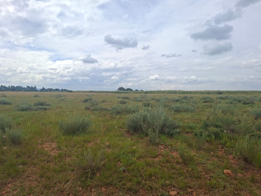 0 Bedroom Property for Sale in Henley on Klip Gauteng