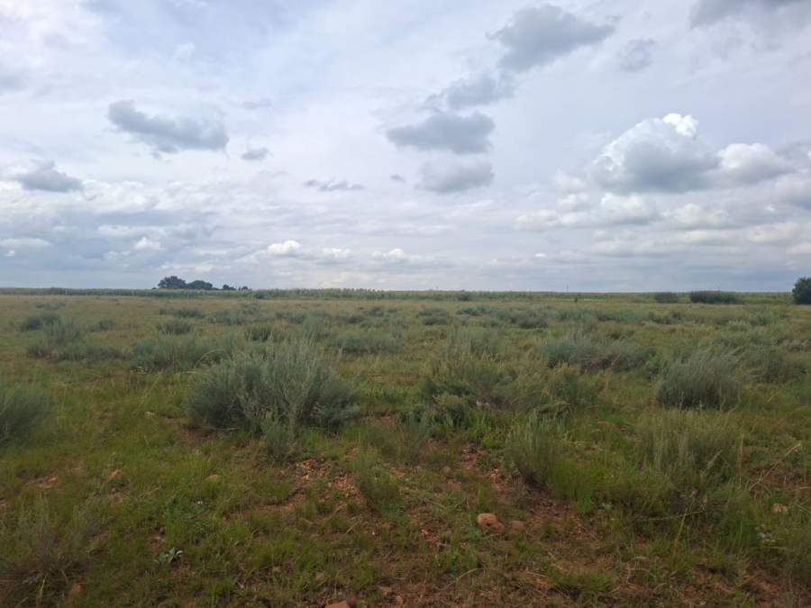 0 Bedroom Property for Sale in Henley on Klip Gauteng