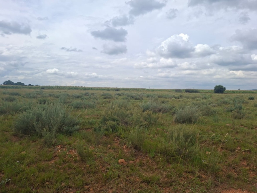 0 Bedroom Property for Sale in Henley on Klip Gauteng