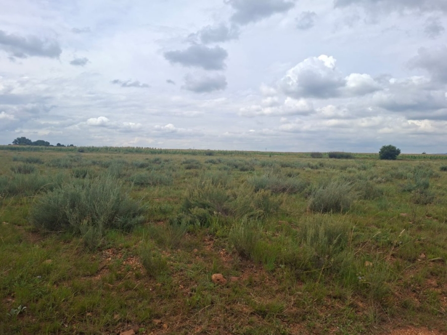 0 Bedroom Property for Sale in Henley on Klip Gauteng