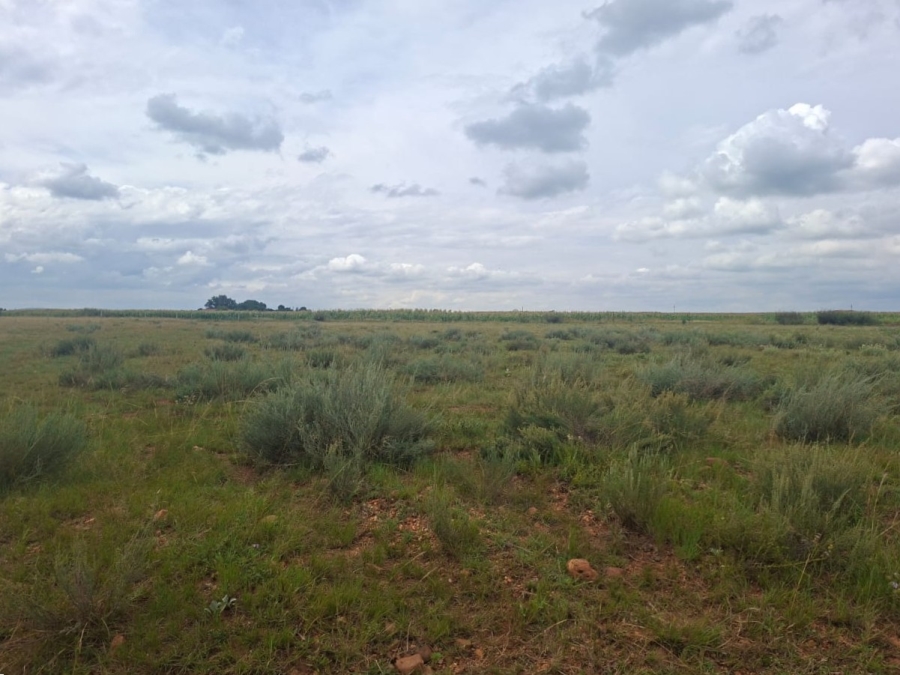 0 Bedroom Property for Sale in Henley on Klip Gauteng