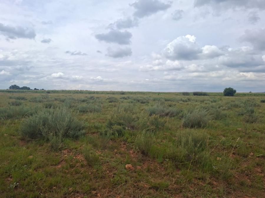 0 Bedroom Property for Sale in Henley on Klip Gauteng