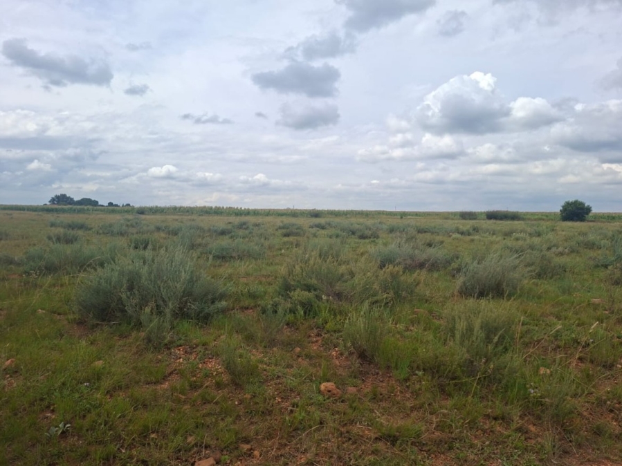 0 Bedroom Property for Sale in Henley on Klip Gauteng