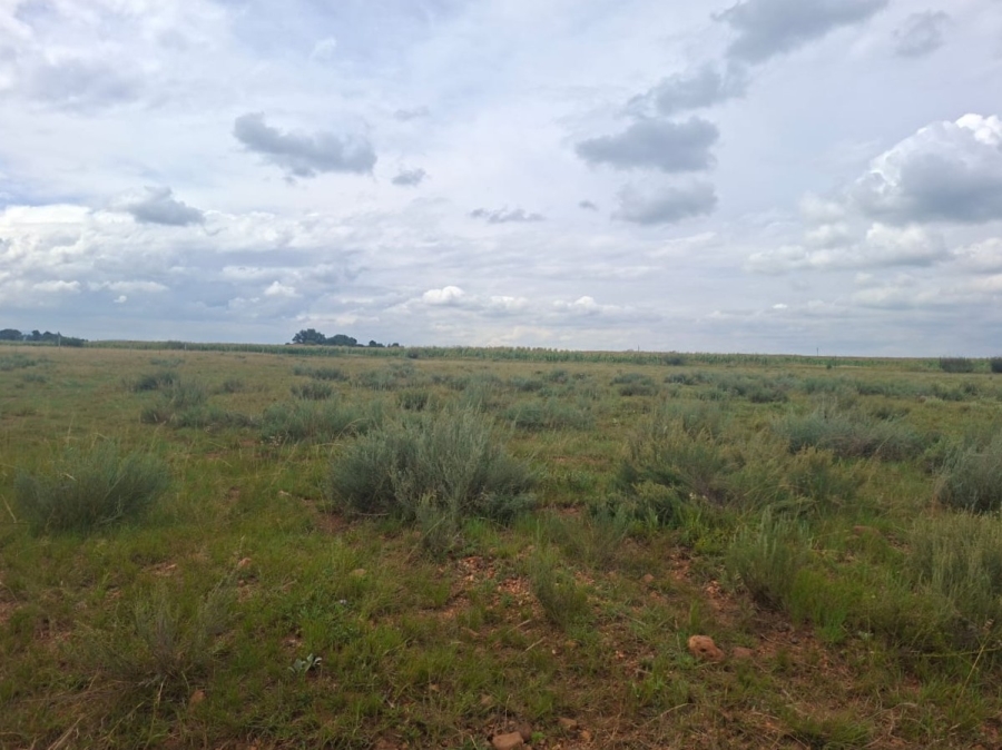 0 Bedroom Property for Sale in Henley on Klip Gauteng