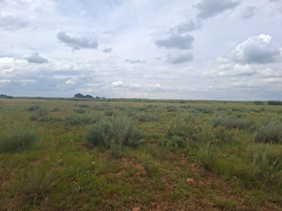 0 Bedroom Property for Sale in Henley on Klip Gauteng