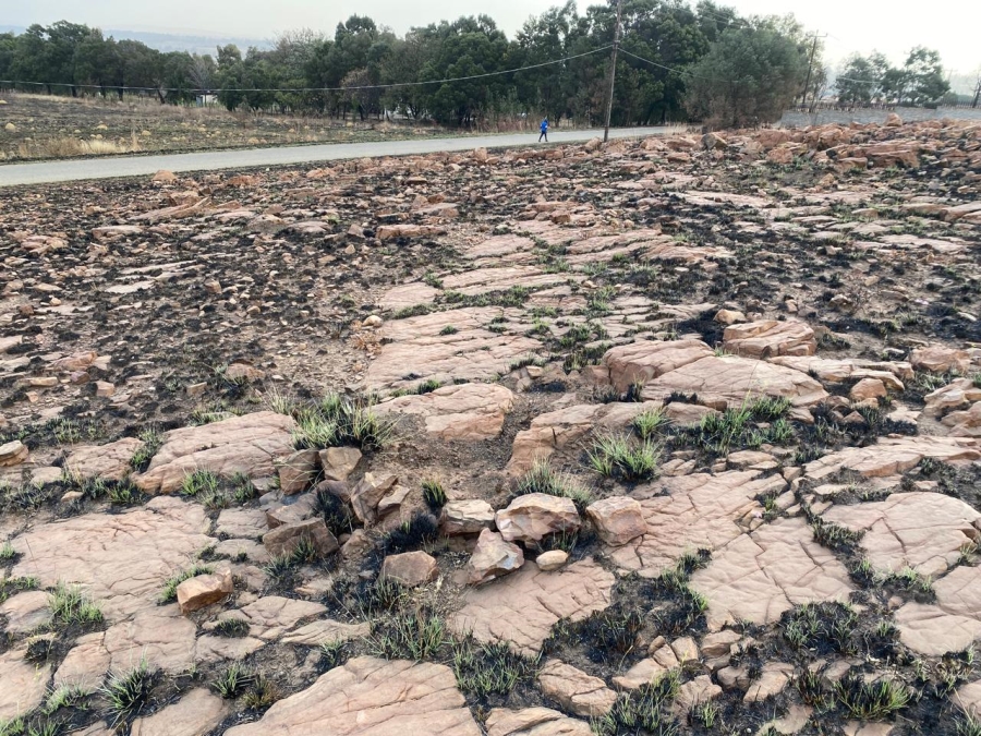 0 Bedroom Property for Sale in Walkerville Manor Gauteng