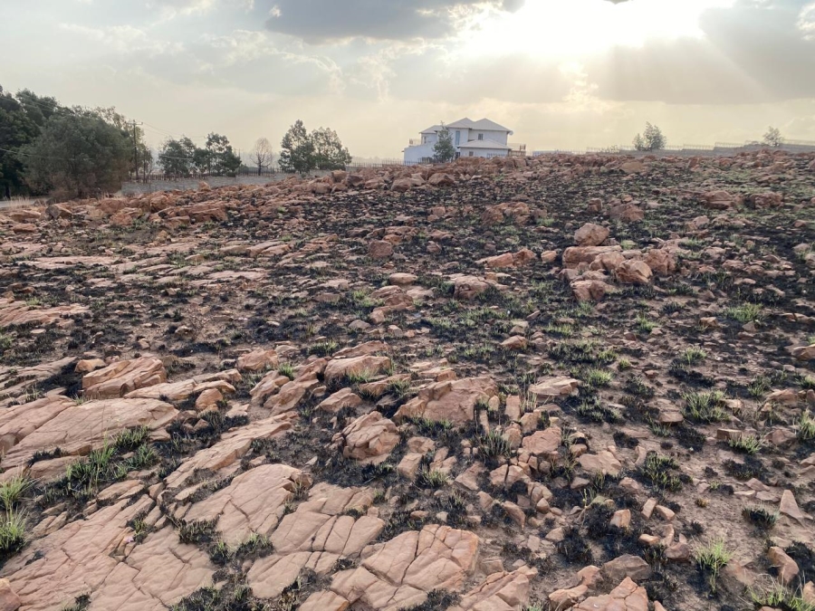 0 Bedroom Property for Sale in Walkerville Manor Gauteng