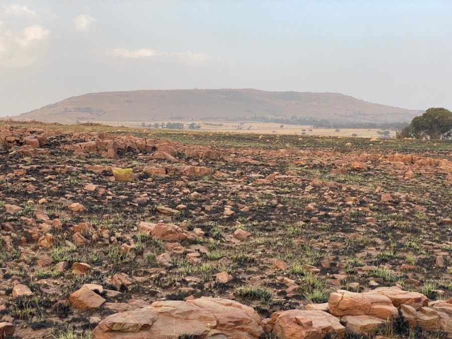 0 Bedroom Property for Sale in Walkerville Manor Gauteng