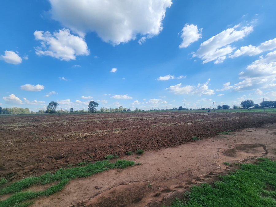 0 Bedroom Property for Sale in Riversdale Gauteng