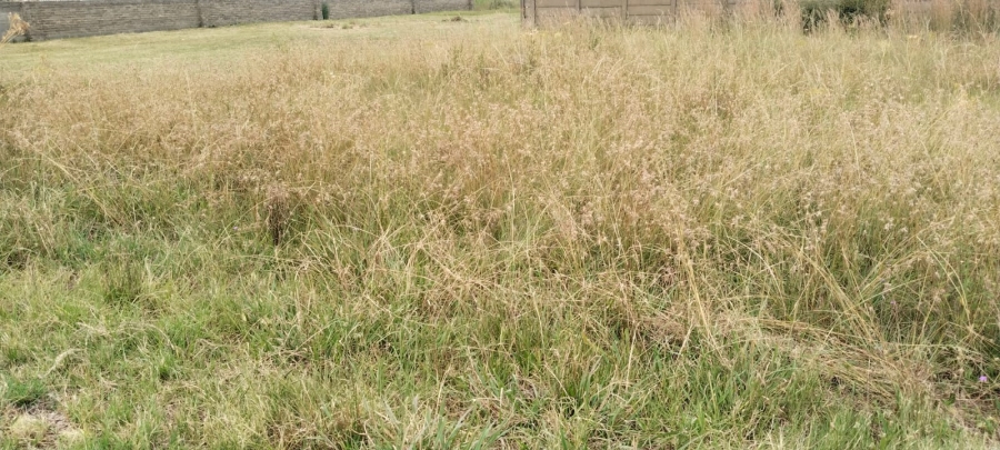 0 Bedroom Property for Sale in Riversdale Gauteng