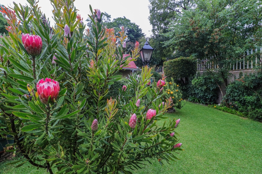 3 Bedroom Property for Sale in Bramley Gauteng