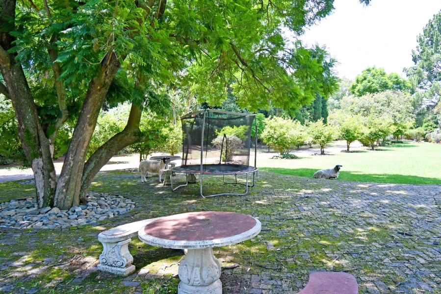 3 Bedroom Property for Sale in Randjesfontein A H Gauteng