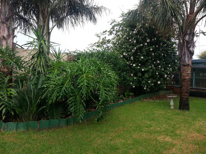 3 Bedroom Property for Sale in Dawn Park Gauteng