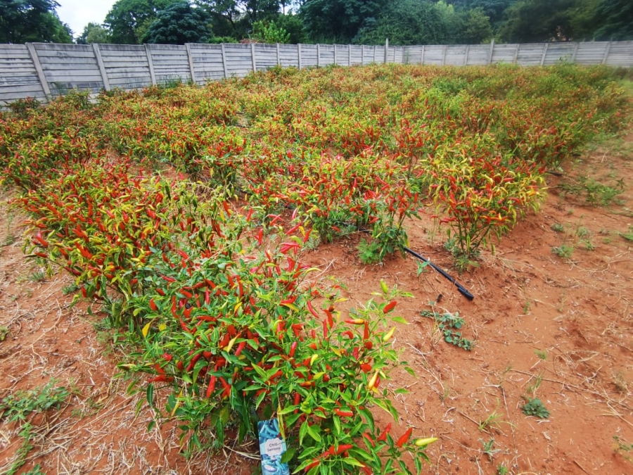 4 Bedroom Property for Sale in Sunset View A H Gauteng