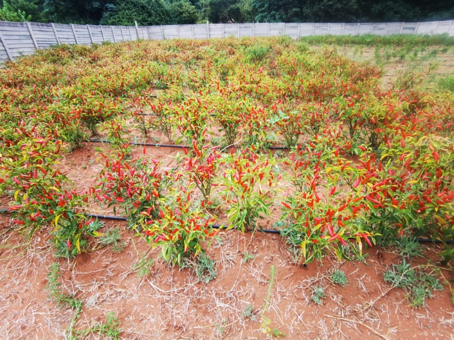 4 Bedroom Property for Sale in Sunset View A H Gauteng