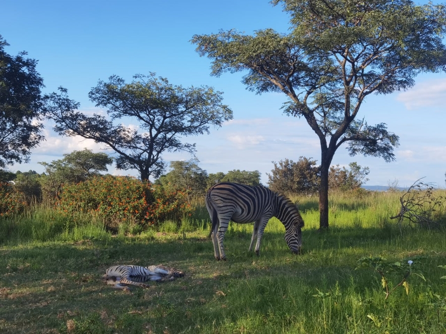 3 Bedroom Property for Sale in Roodepark Eco Estate Gauteng