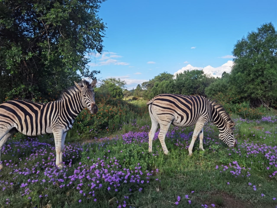 3 Bedroom Property for Sale in Roodepark Eco Estate Gauteng