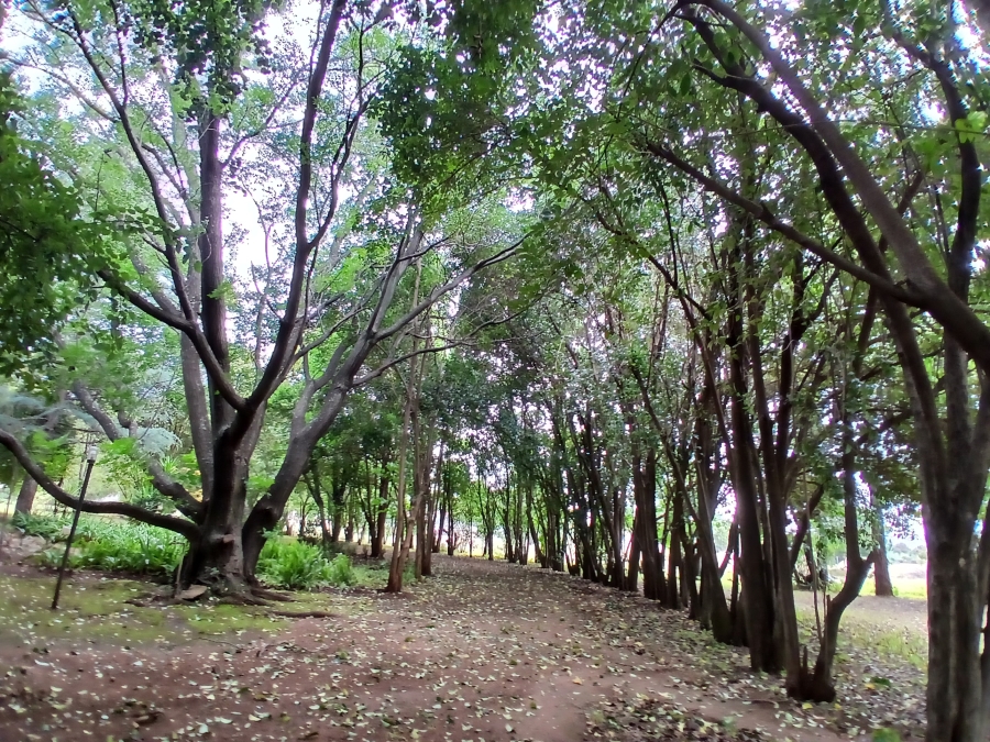 8 Bedroom Property for Sale in Gerardsville Gauteng