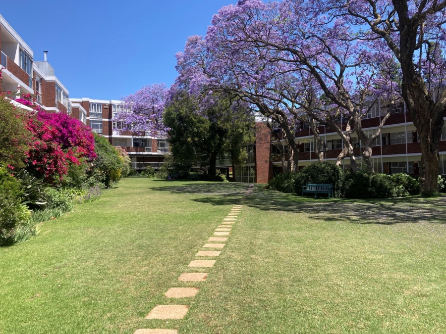 To Let 2 Bedroom Property for Rent in Illovo Gauteng