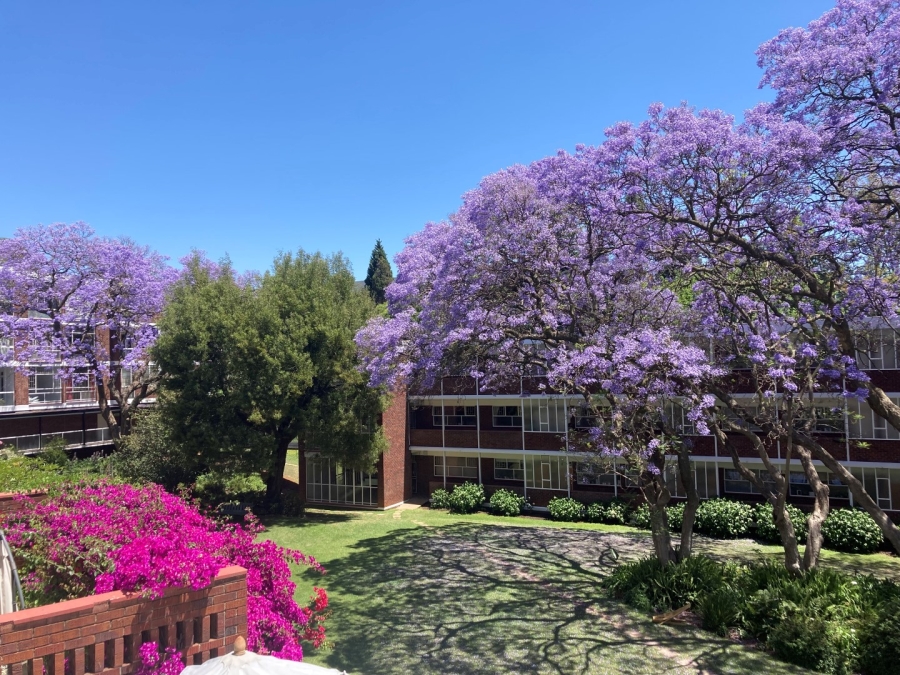 To Let 2 Bedroom Property for Rent in Illovo Gauteng