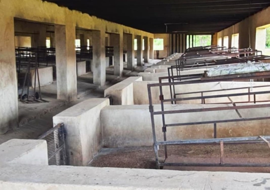 3 Bedroom Property for Sale in Pretoria North Gauteng