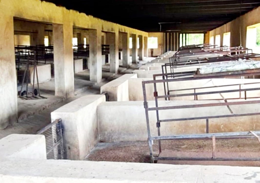 3 Bedroom Property for Sale in Pretoria North Gauteng