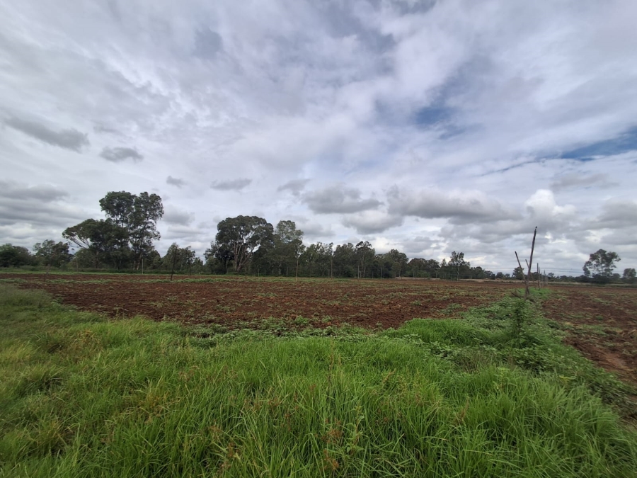 0 Bedroom Property for Sale in Riversdale Gauteng