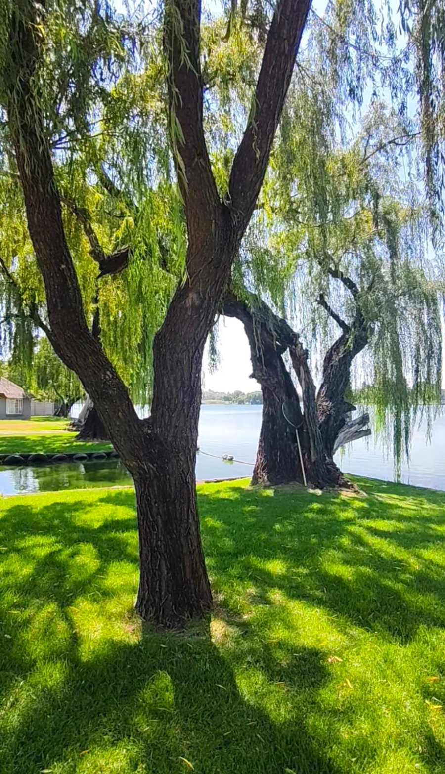 5 Bedroom Property for Sale in Riverside Gauteng