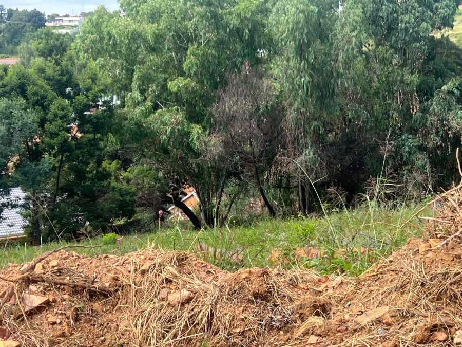 0 Bedroom Property for Sale in Waterkloof Heights Gauteng