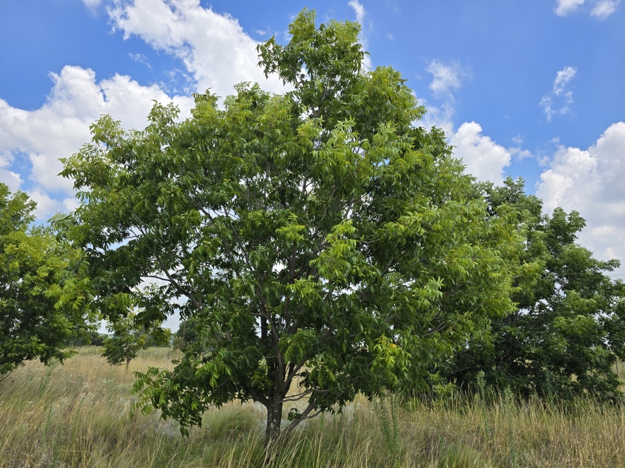 0 Bedroom Property for Sale in Valtaki Gauteng