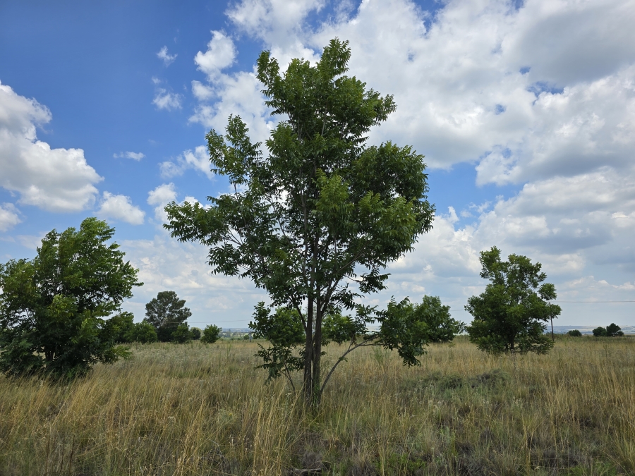 0 Bedroom Property for Sale in Valtaki Gauteng