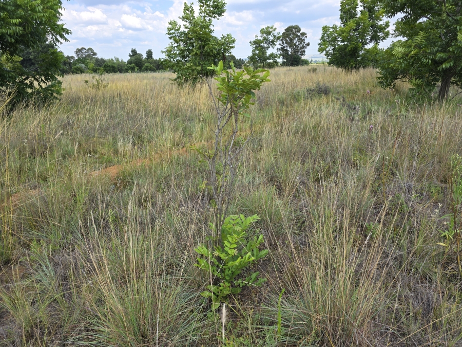 0 Bedroom Property for Sale in Valtaki Gauteng