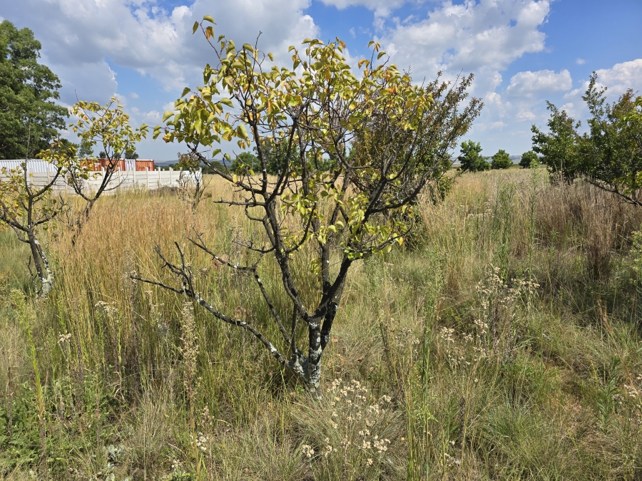 0 Bedroom Property for Sale in Valtaki Gauteng