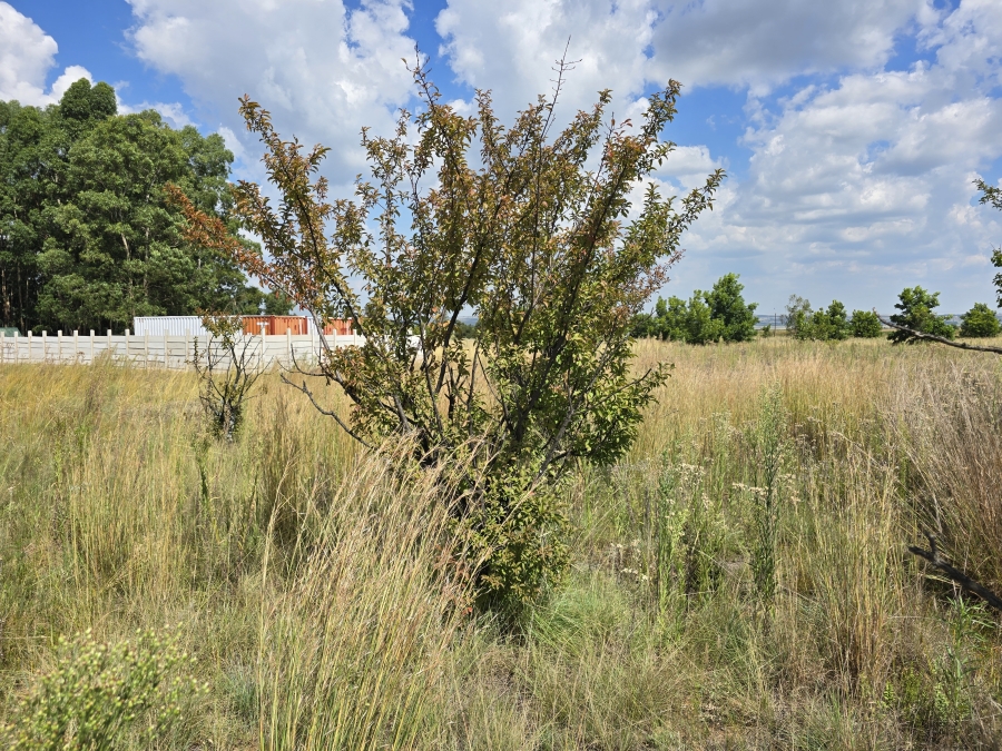 0 Bedroom Property for Sale in Valtaki Gauteng