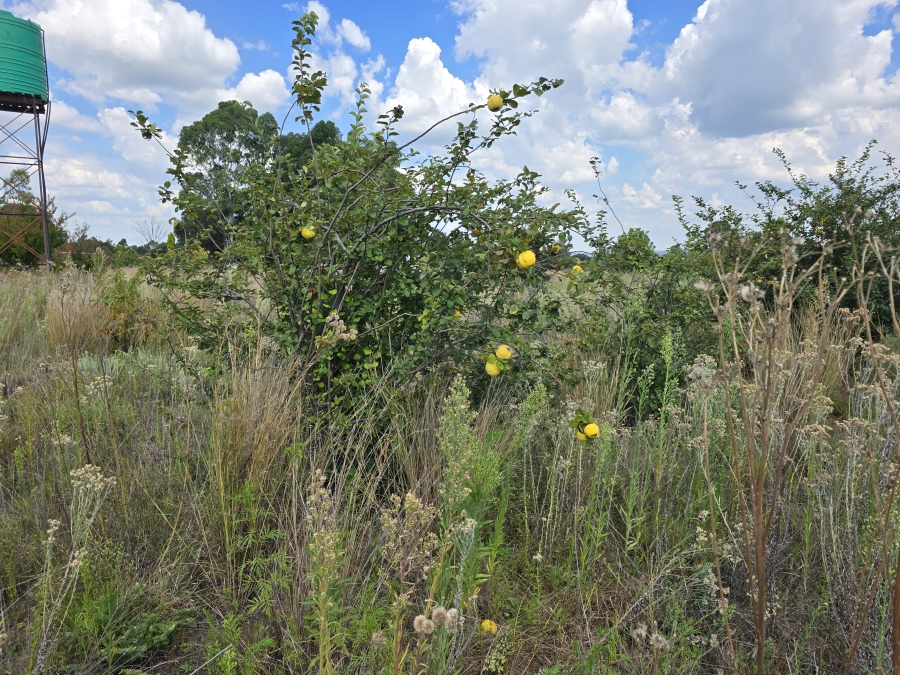 0 Bedroom Property for Sale in Valtaki Gauteng