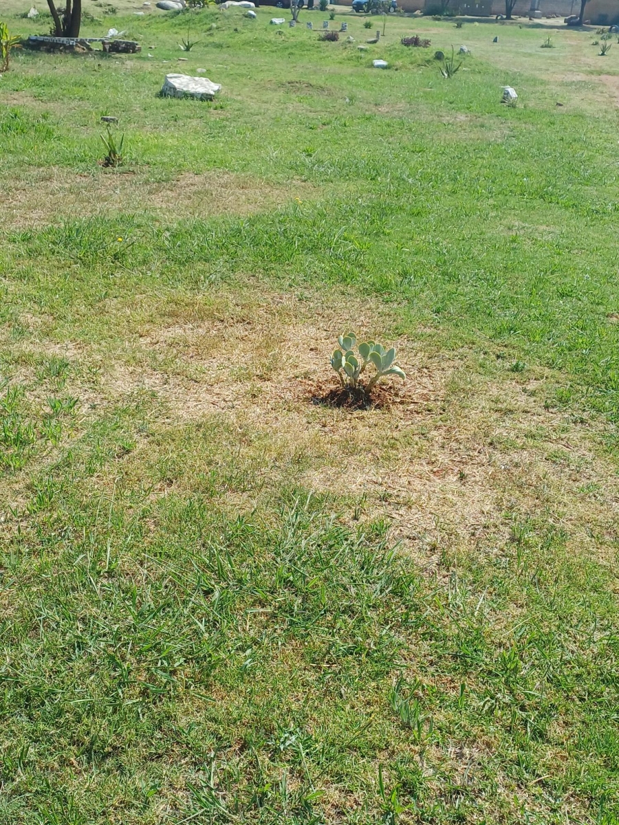 0 Bedroom Property for Sale in Vosloorus Ext 2 Gauteng