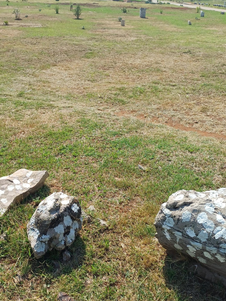 0 Bedroom Property for Sale in Vosloorus Ext 2 Gauteng