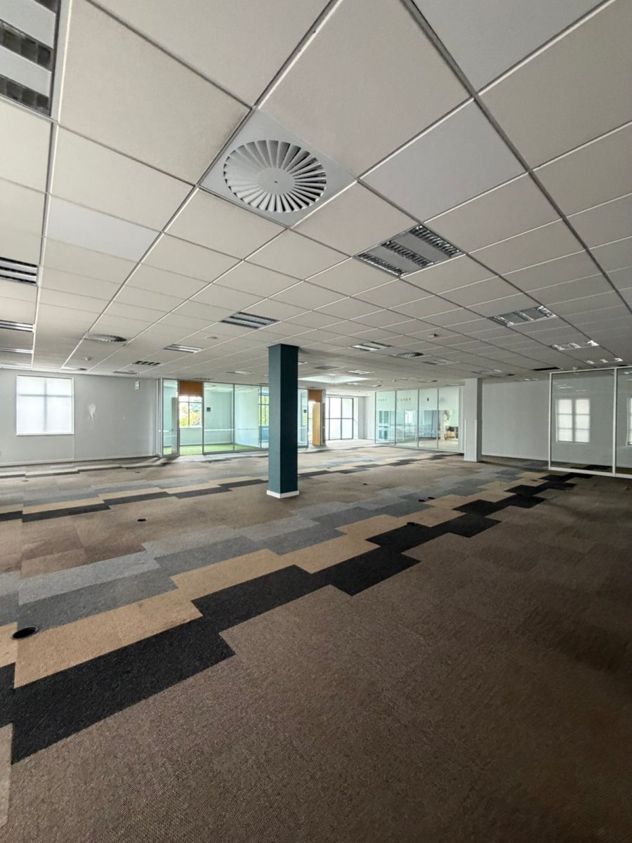 To Let commercial Property for Rent in Illovo Gauteng
