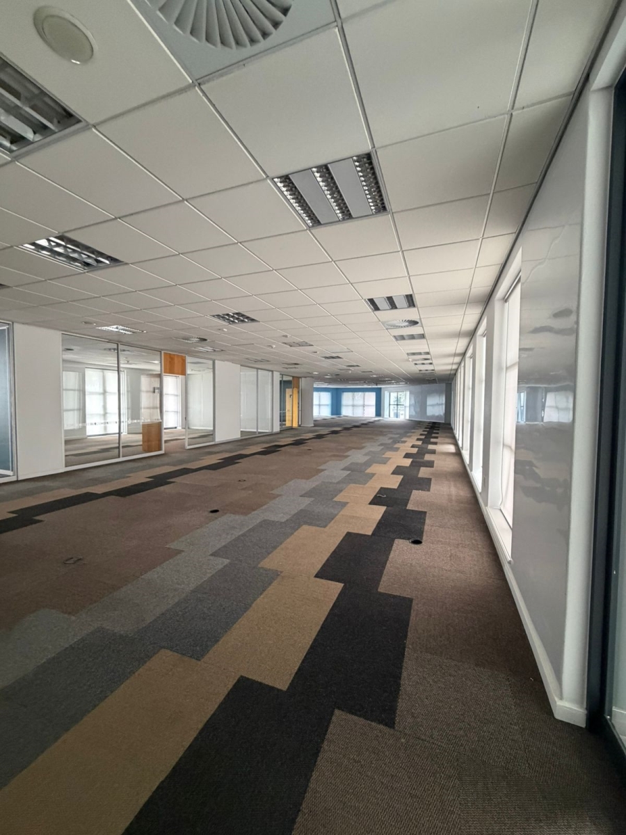 To Let commercial Property for Rent in Illovo Gauteng