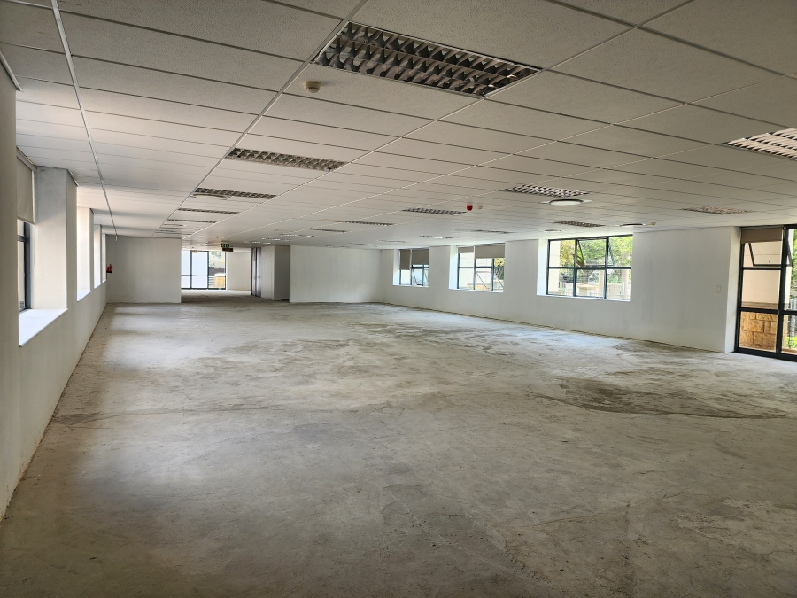To Let commercial Property for Rent in Illovo Gauteng