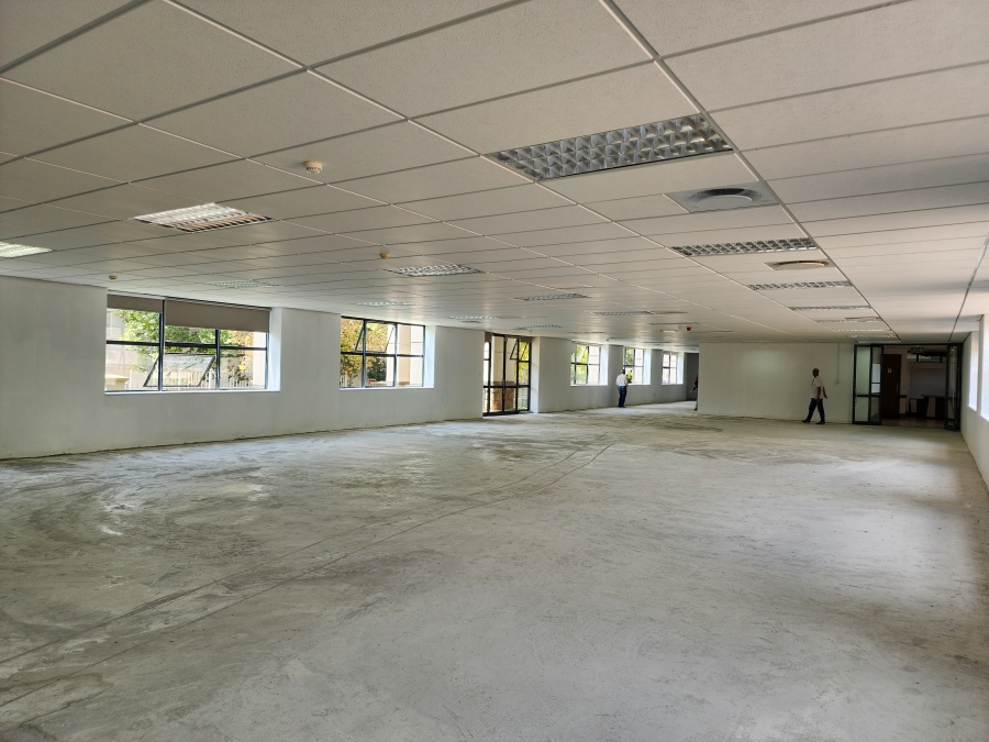 To Let commercial Property for Rent in Illovo Gauteng