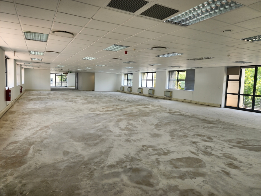 To Let commercial Property for Rent in Illovo Gauteng