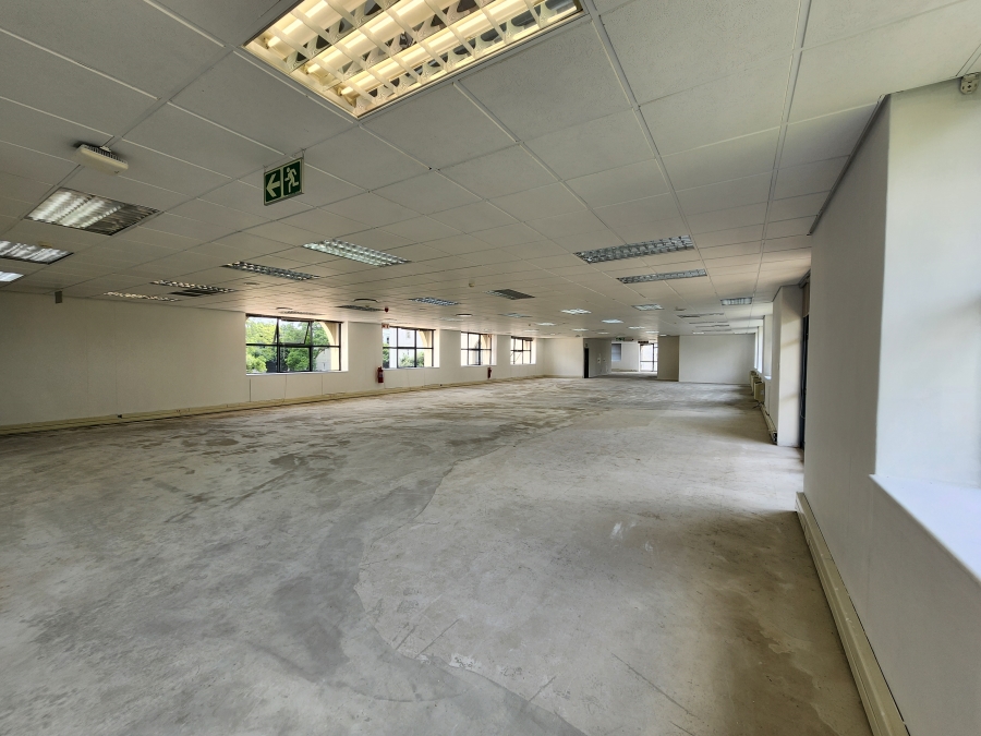To Let commercial Property for Rent in Illovo Gauteng