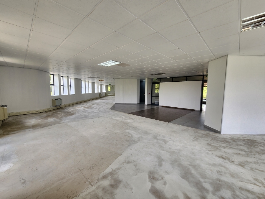 To Let commercial Property for Rent in Illovo Gauteng