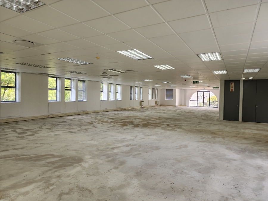 To Let commercial Property for Rent in Illovo Gauteng