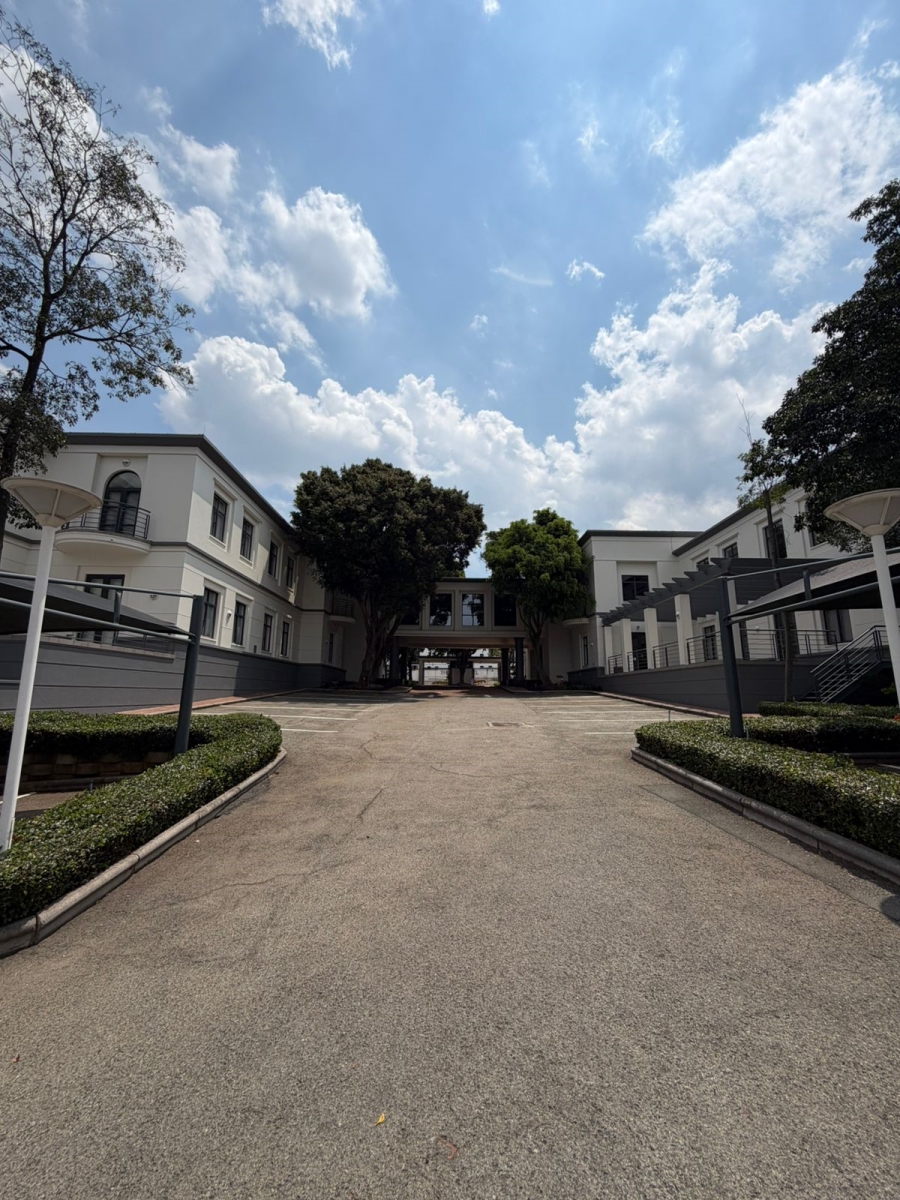 To Let commercial Property for Rent in Illovo Gauteng