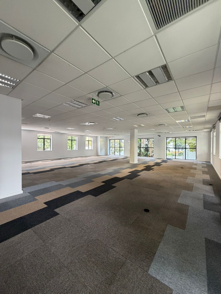 To Let commercial Property for Rent in Illovo Gauteng