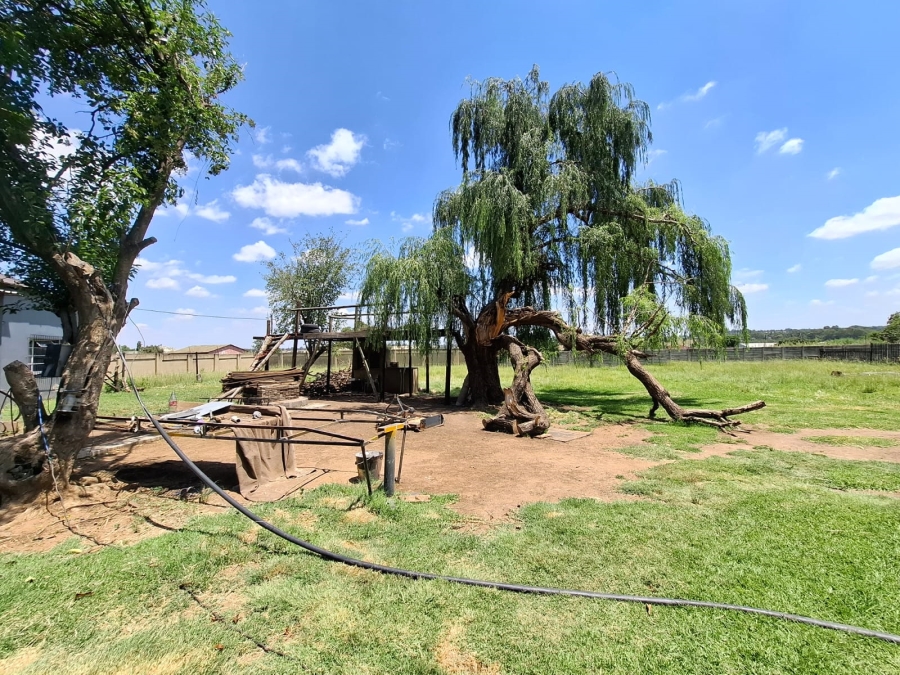 3 Bedroom Property for Sale in Van Rhyn Gauteng